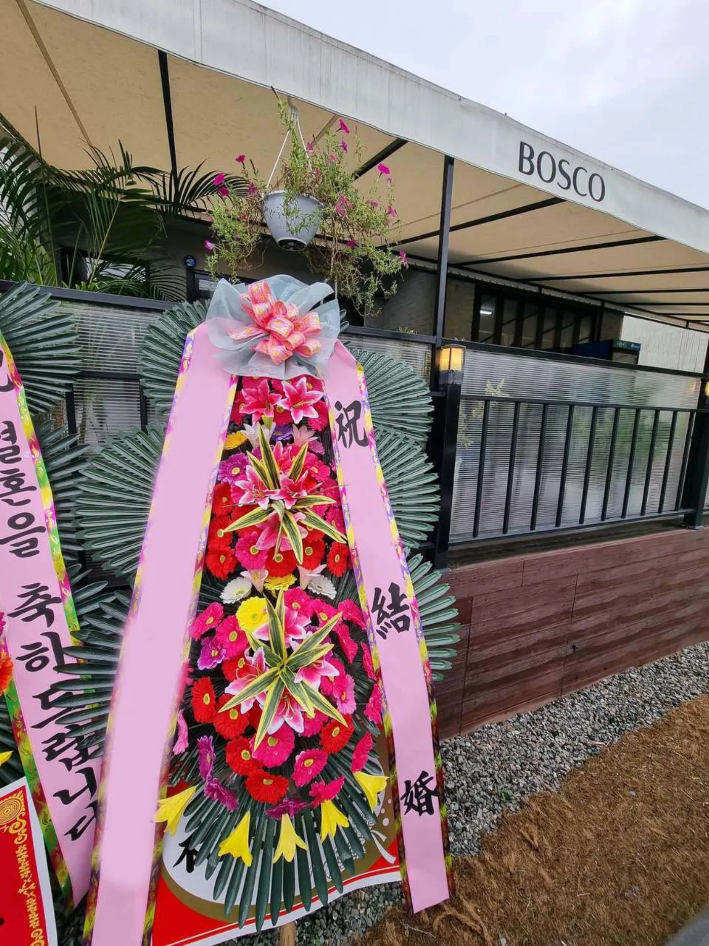 개업식에 꽃을 보내는 마음의 내력