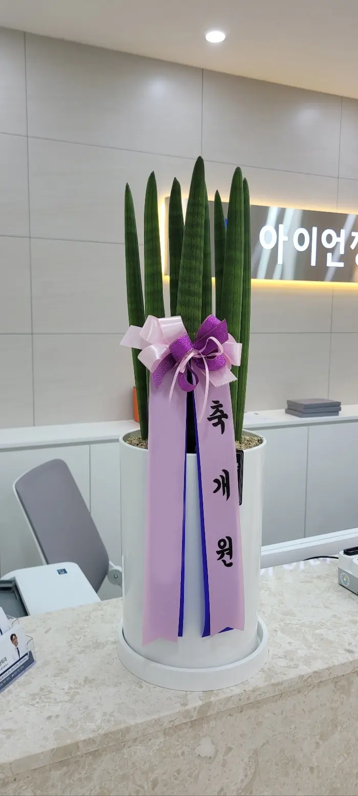 Clinic Opening Flowers That Stay Out of the Way