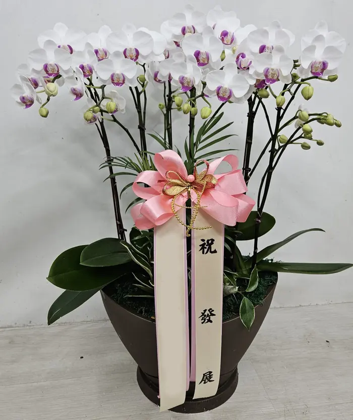 창립기념일 축하화환, 회사끼리 주고받는 예절 — 이름꽃이 전국으로 보낸 실제 배송사진