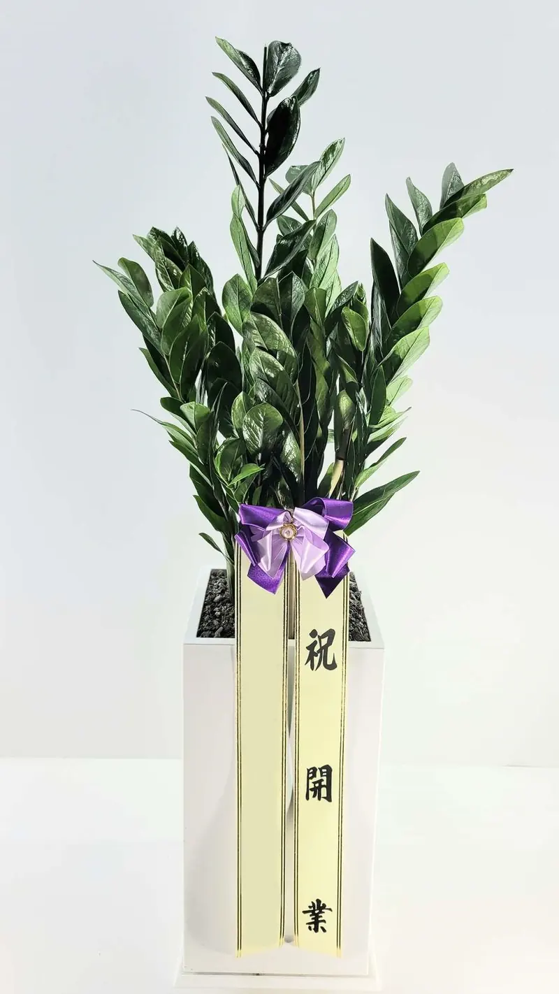 Are Low-Water Plants Really Easy? — an actual delivery photo from Arrive in Bloom, which delivers across Korea