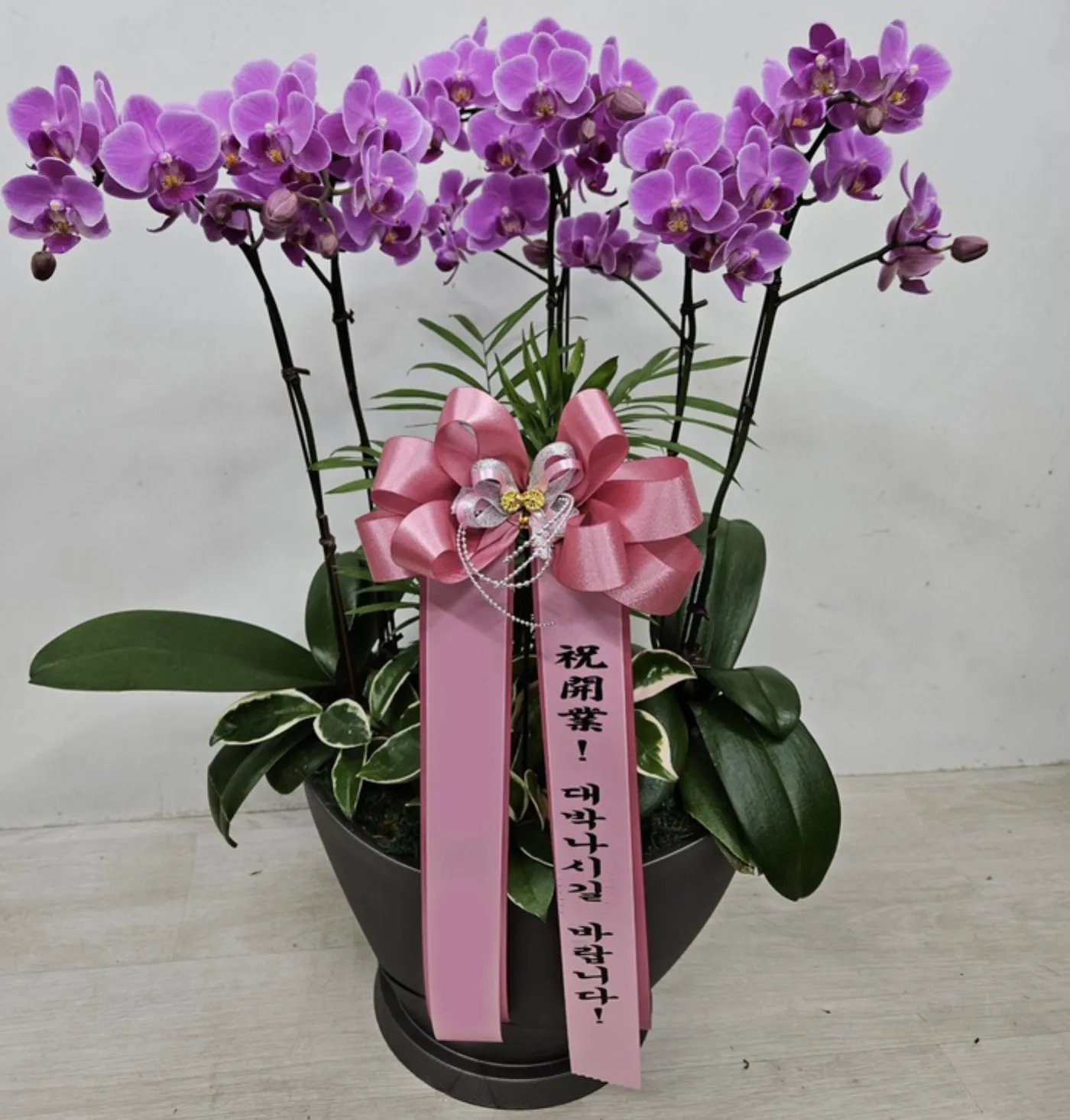 난에 물 주는 법 — 가장 흔한 오해