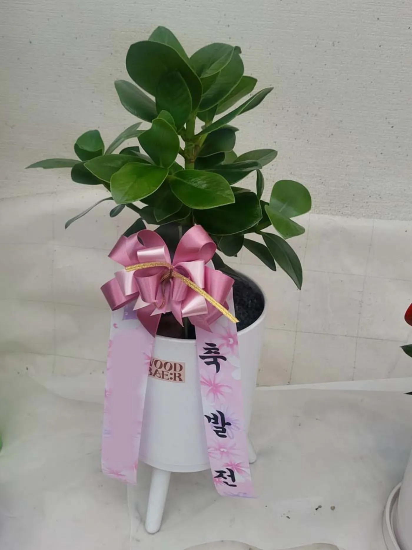추석 선물로서의 난, 격식의 언어