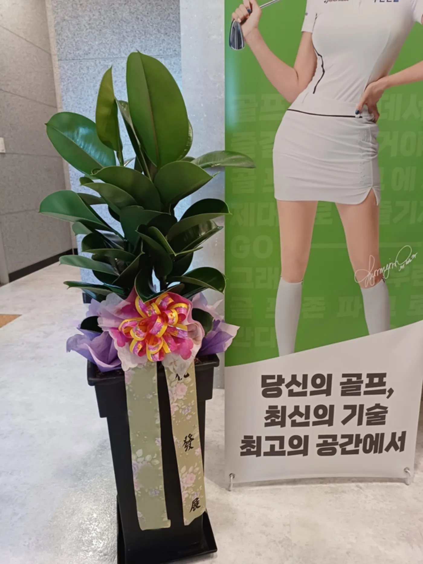사무실에 두는 꽃과 식물