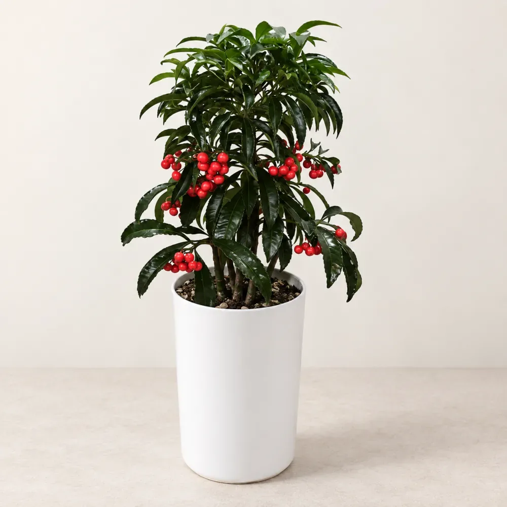 Winter Flowers: Warmth Offered in the Cold