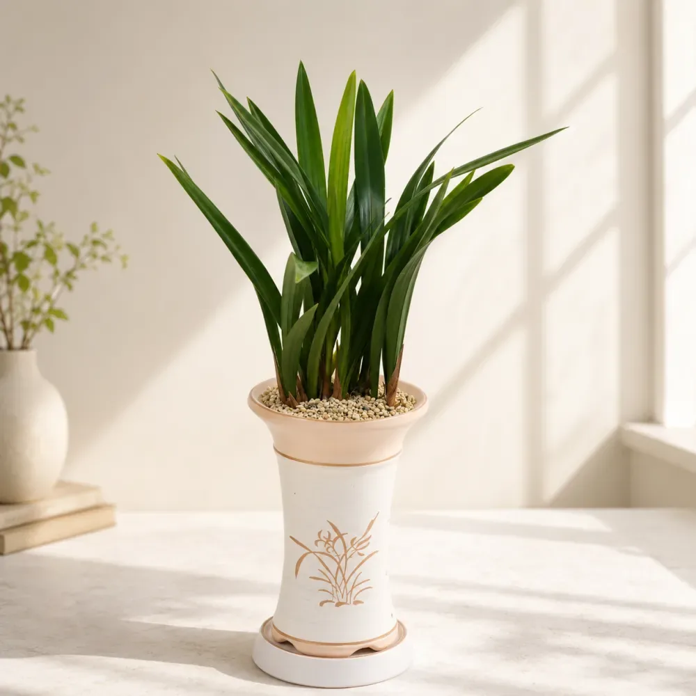 The Silent Language of the Oriental Orchid — Arrive in Bloom product photo — Asian cymbidium (Sancheon Bose)