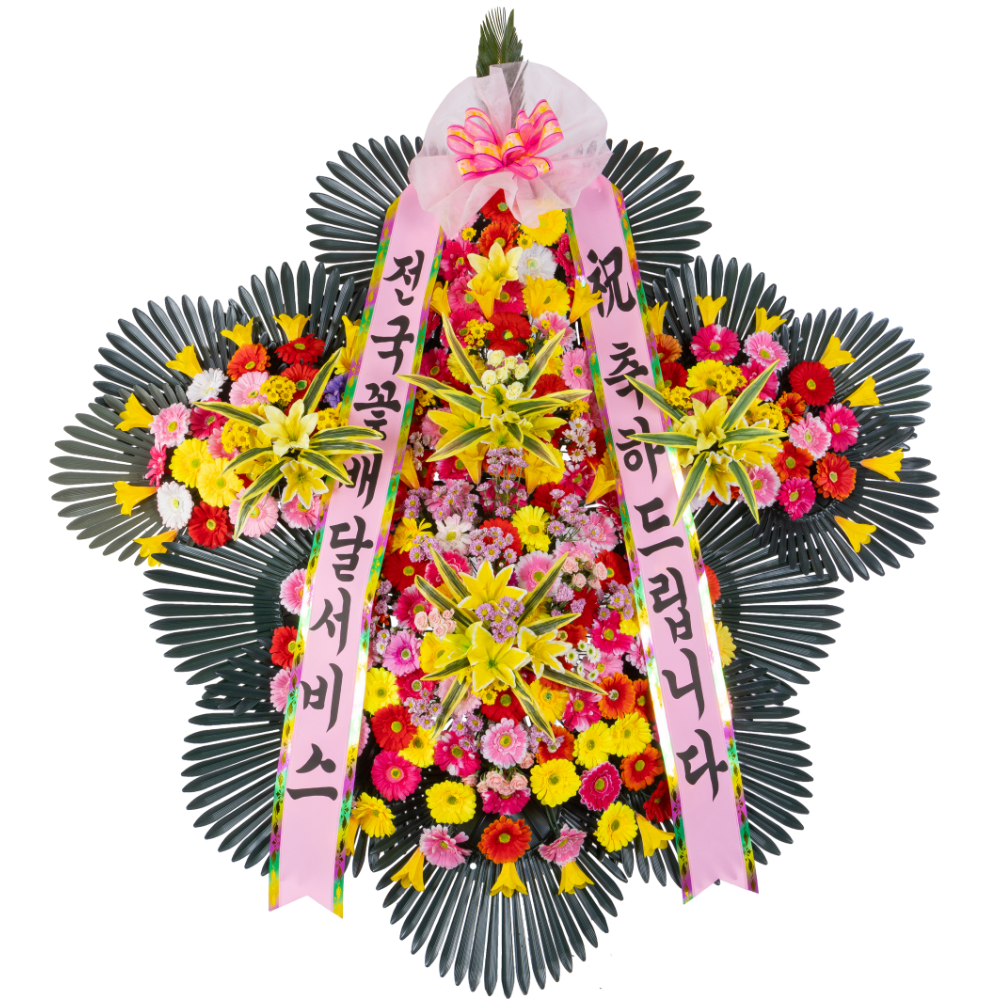 축하_5단_흰배경.png