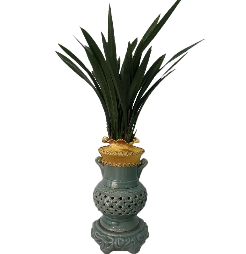 Sancheonbose oriental orchid with long dark-green leaves in a tall celadon openwork pot with a gold fabric wrap
