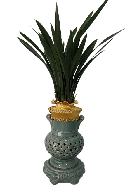 Sancheonbose oriental orchid in a tall celadon carved pot, side view