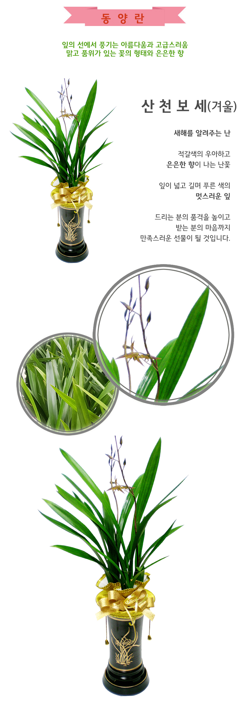 산천보새(겨울).jpg