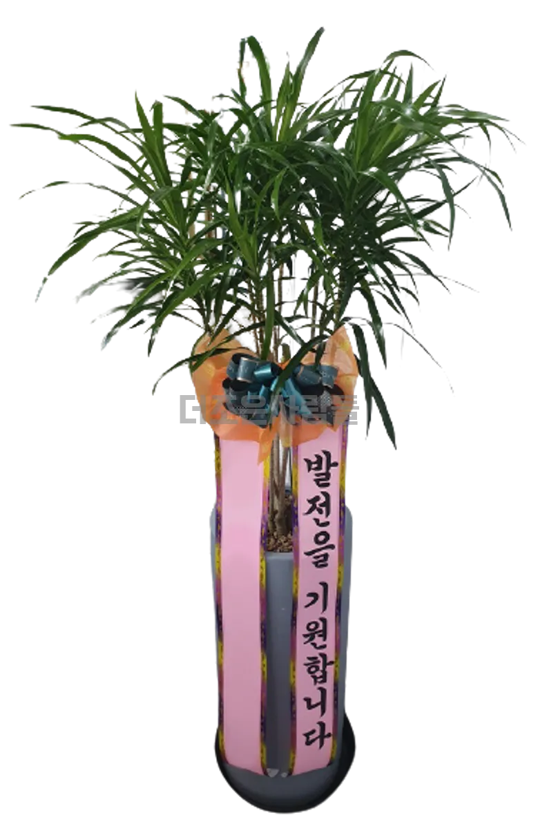 자바