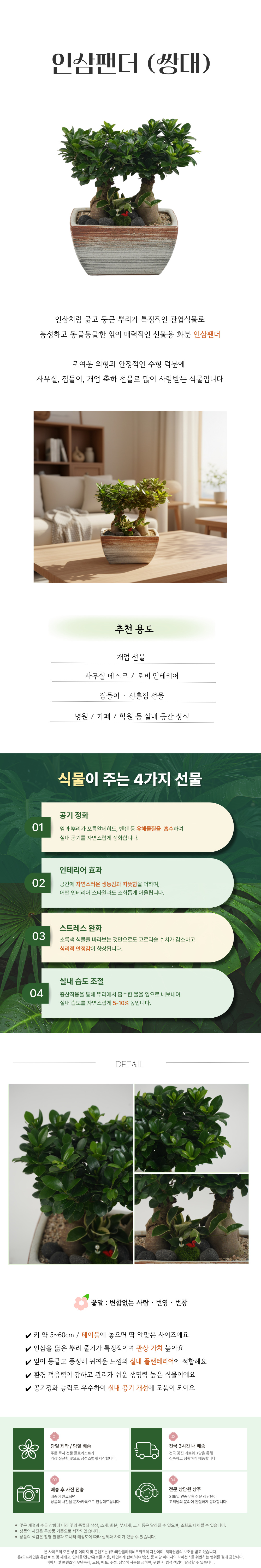 PS_010_인삼팬더_쌍대-001.jpg