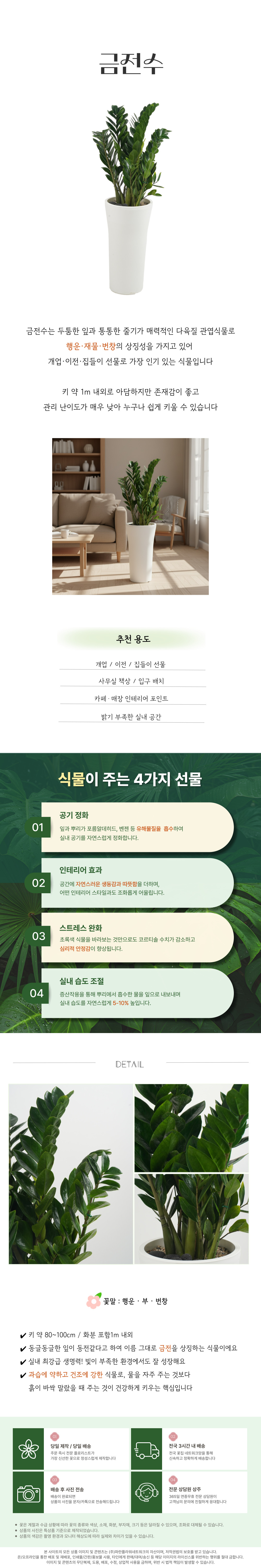 PL_001-금전수.jpg