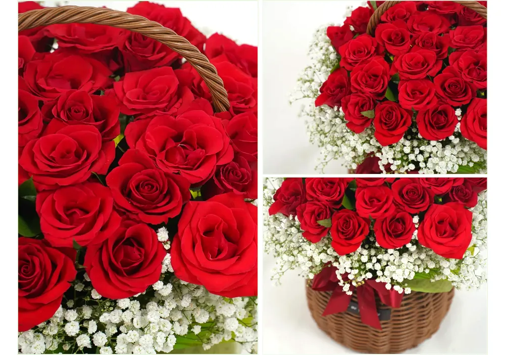 Close-up of tightly packed red roses above white baby's breath