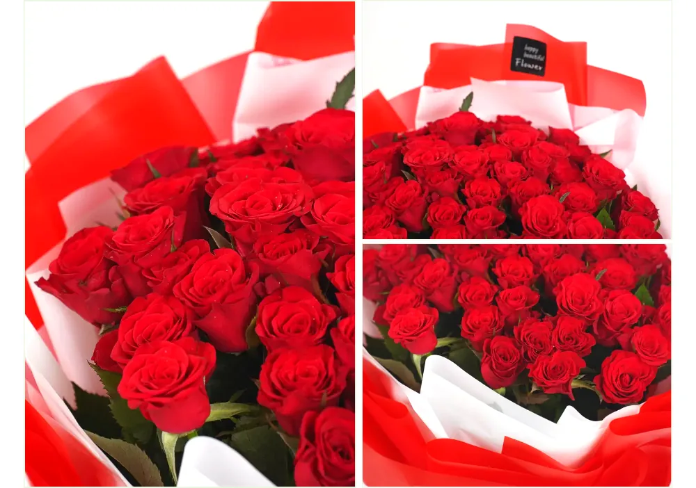 Cận cảnh hoa hồng đỏ cắm dày trong giấy gói đỏ và trắng