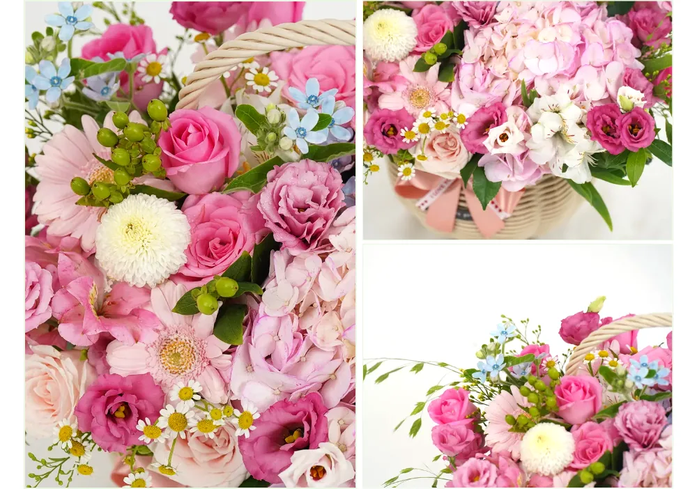 Close-up of pink hydrangea, pink roses, pink lisianthus, pink gerbera, white pompon chrysanthemum and blue tweedia