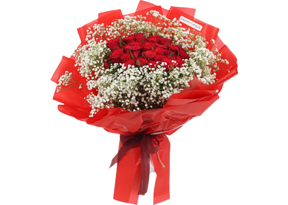 Round bouquet of red roses ringed with white baby's breath in a red wrap tied with a dark red ribbon
