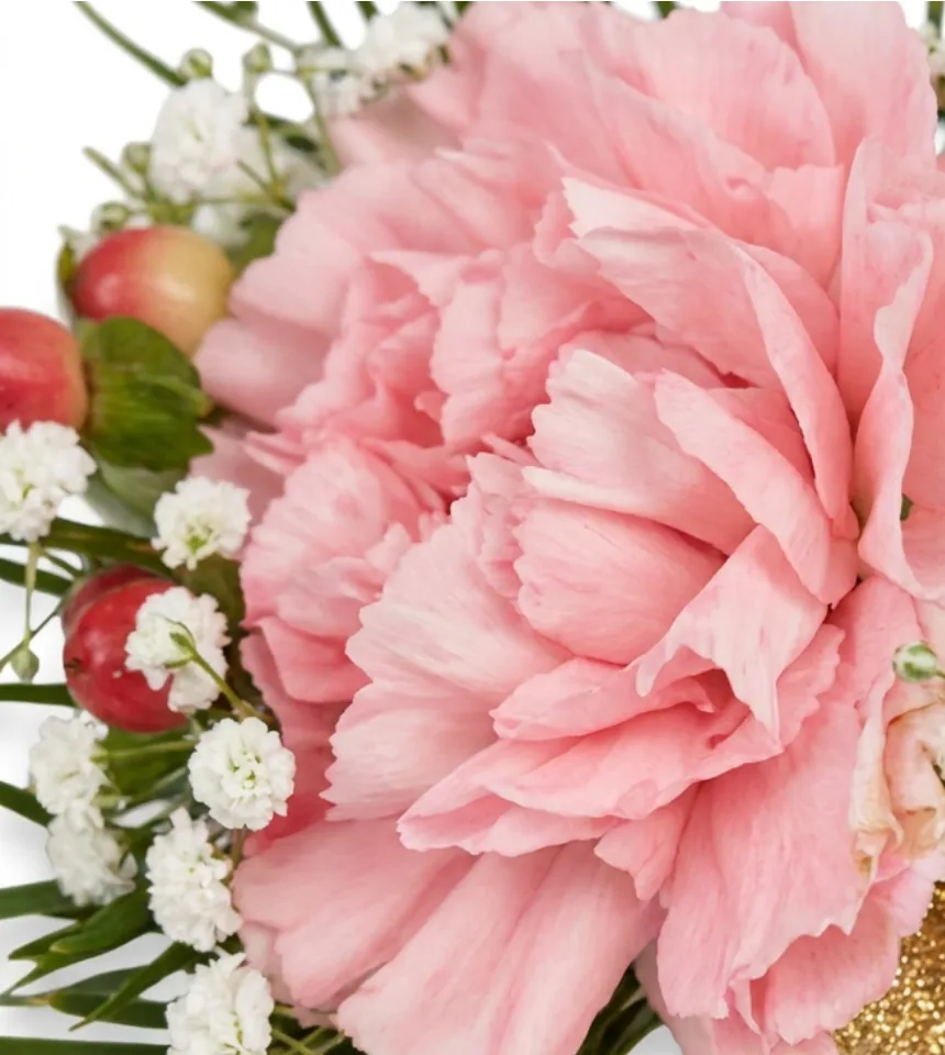 Close-up of pink carnation petals with red hypericum berries and baby's breath