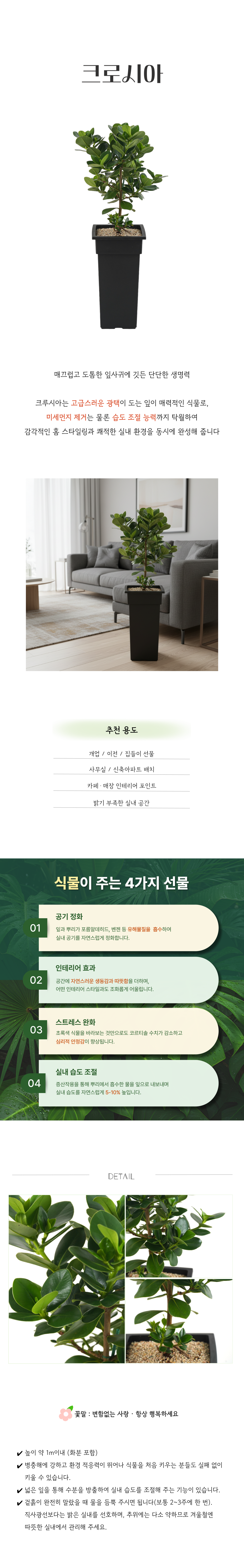 PL_022-크로시아-26_02_24-001.png
