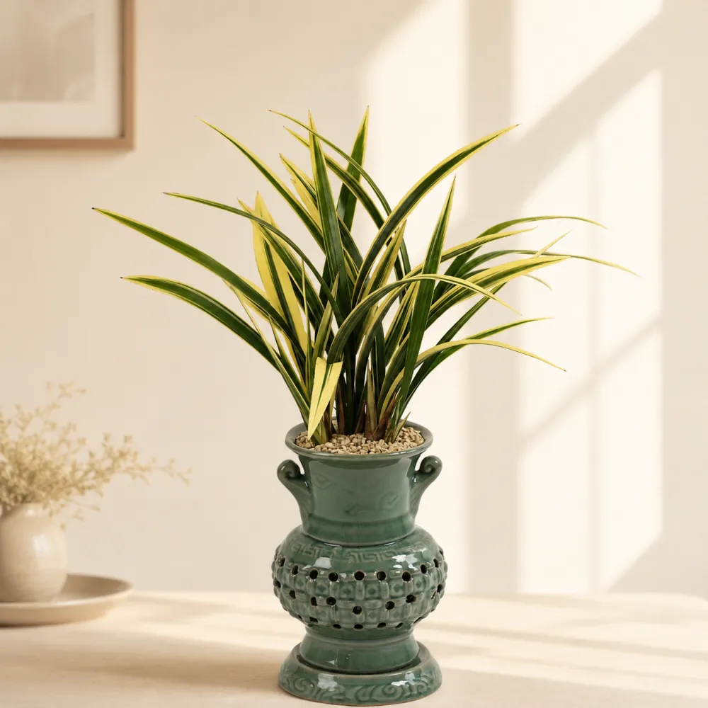 Oriental Orchid Ilhyanggeum (Carved Pot)