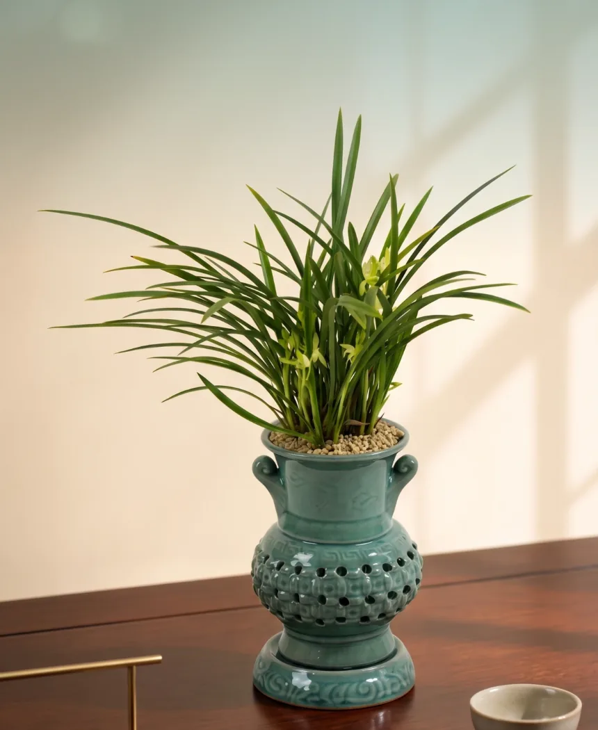 Green oriental orchid in flower, planted in a pale celadon pot with pierced openwork carving, on a dark wooden console