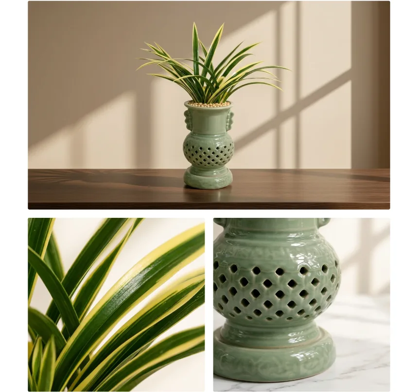 The potted orchid on a table above two close-ups: gold-edged leaves and the pierced celadon pot