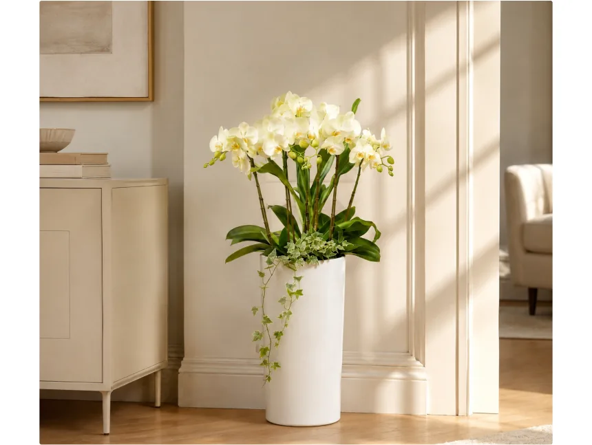 Lan hồ điệp trắng trong chậu cao đặt cạnh bàn console màu kem ở hành lang sáng